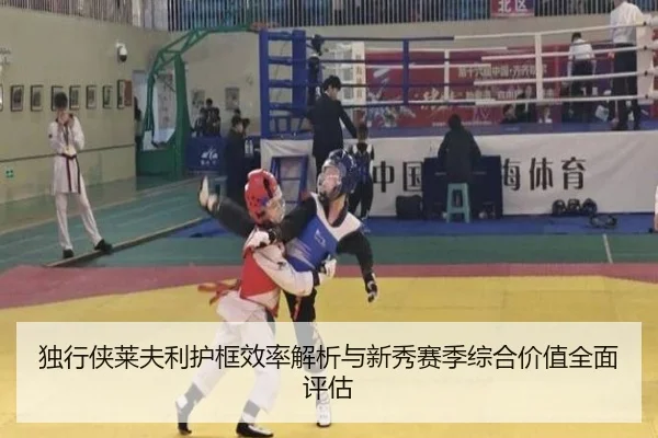 独行侠莱夫利护框效率解析与新秀赛季综合价值全面评估